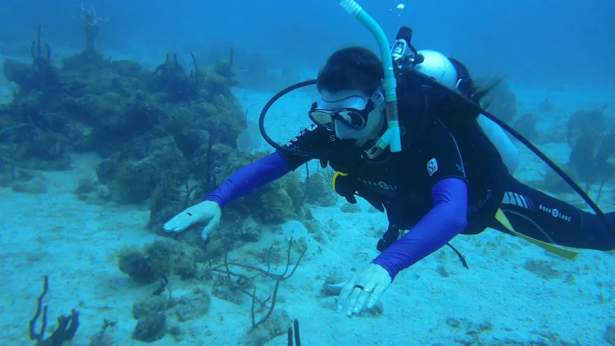 Explore the Depths of Adventure: Diving Around Phuket