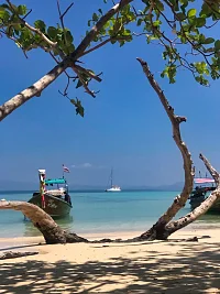  Phi Phi & Phang Nga (3 days / 2 nights) | Moonlight