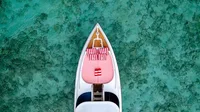  Phang Nga Bay (8h) | Speedboat Pink Dolphin
