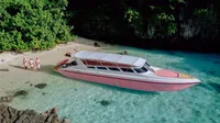  Phang Nga Bay (8h) | Speedboat Pink Dolphin