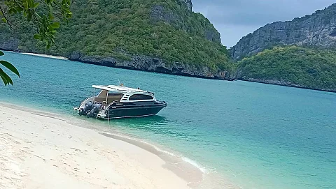  Khanom Pink Dolphin Watching (8h) | Ocean Flea